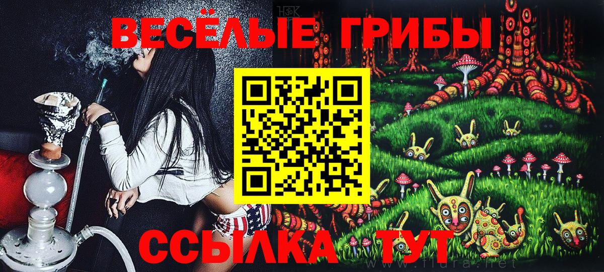 Псилоцибиновые грибы мицелий Казань