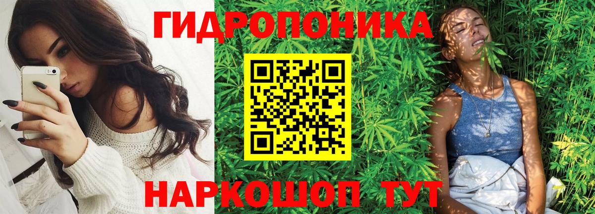 Казань  Шишки марихуана SATIVA & INDICA  Каннабис марихуана  Вход с VPN  Канабис SATIVA & INDICA 